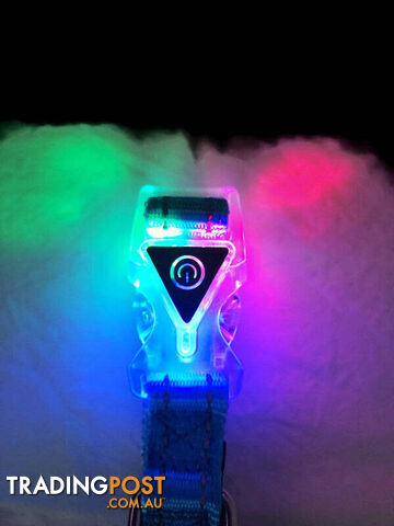 Dog Collar LED Flashing Light Buckle, Reflective Stitching - Moondidley Pets -...