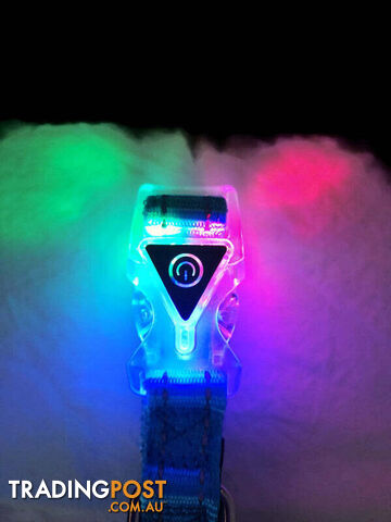 Dog Collar LED Flashing Light Buckle, Reflective Stitching - Moondidley Pets -...