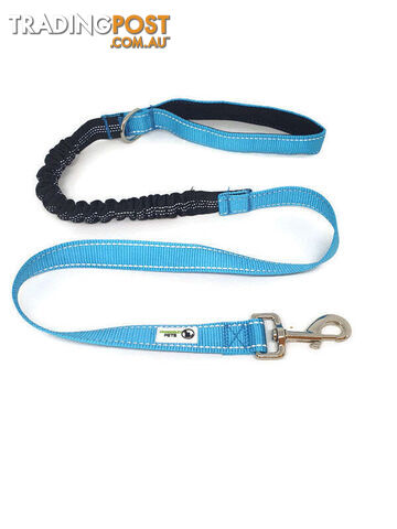 Bungee Dog Lead Nylon w/Reflective Stitching - Moondidley Pets - MDPLDBUNTQ