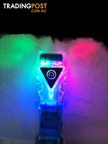 Dog Collar LED Flashing Light Buckle, Reflective Stitching - Moondidley Pets -...