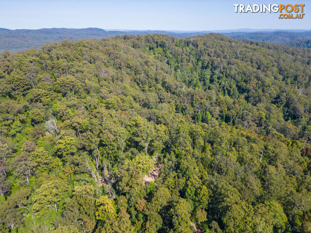 Lot 16 Lower Bobo Road ULONG NSW 2450