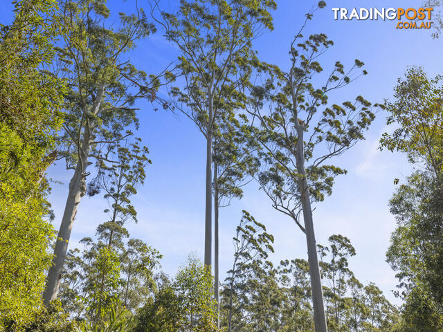 Lot 16 Lower Bobo Road ULONG NSW 2450