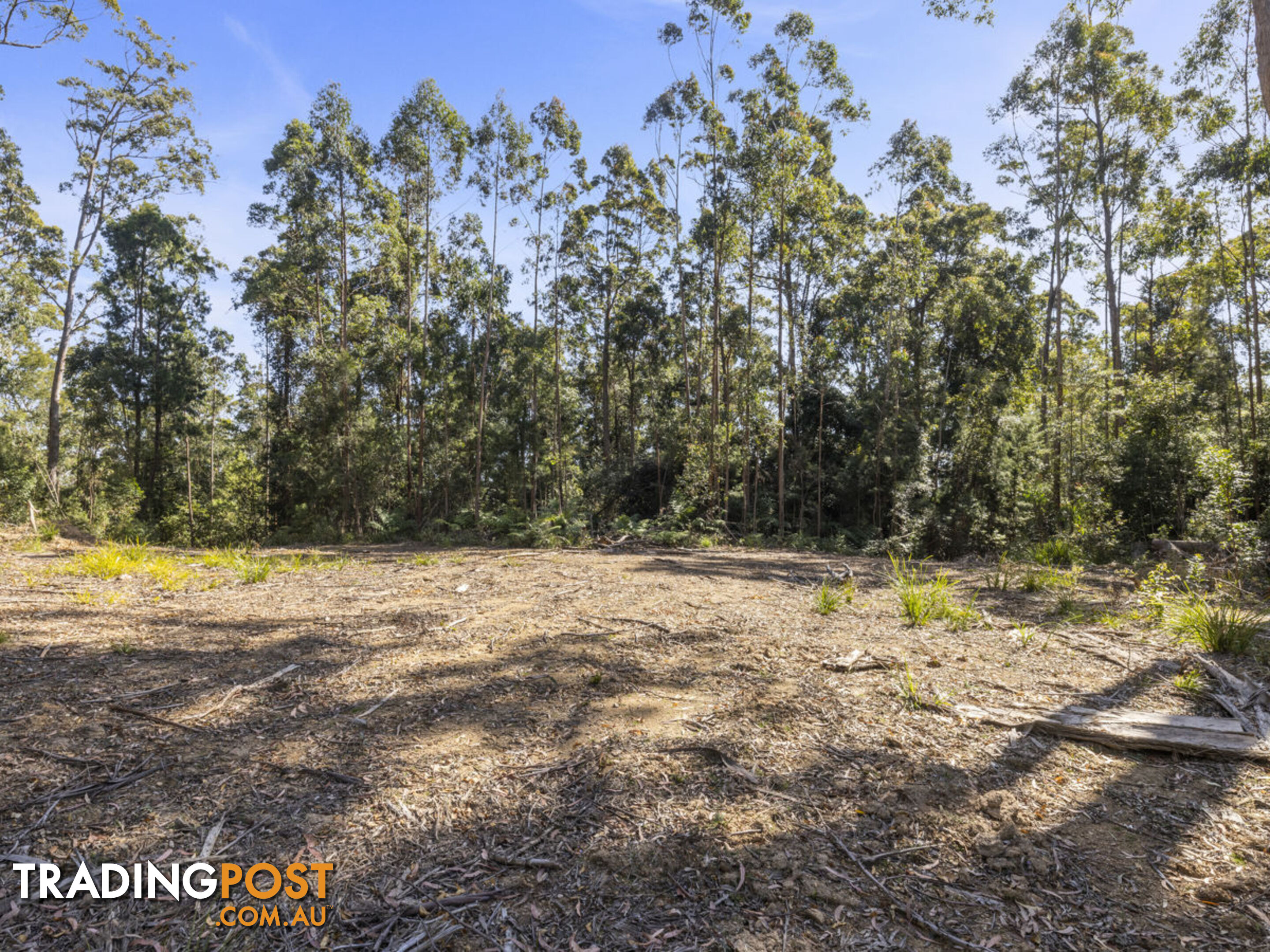 Lot 16 Lower Bobo Road ULONG NSW 2450