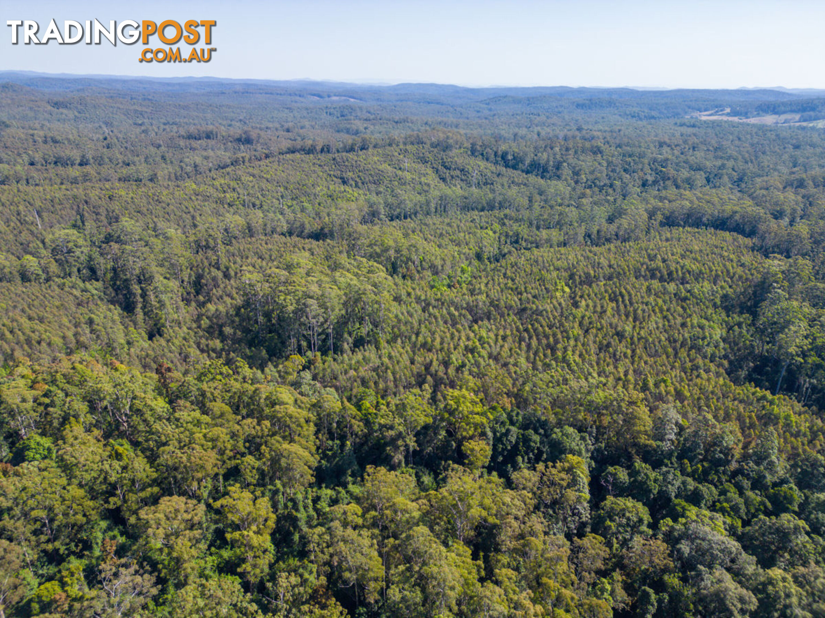 Lot 16 Lower Bobo Road ULONG NSW 2450