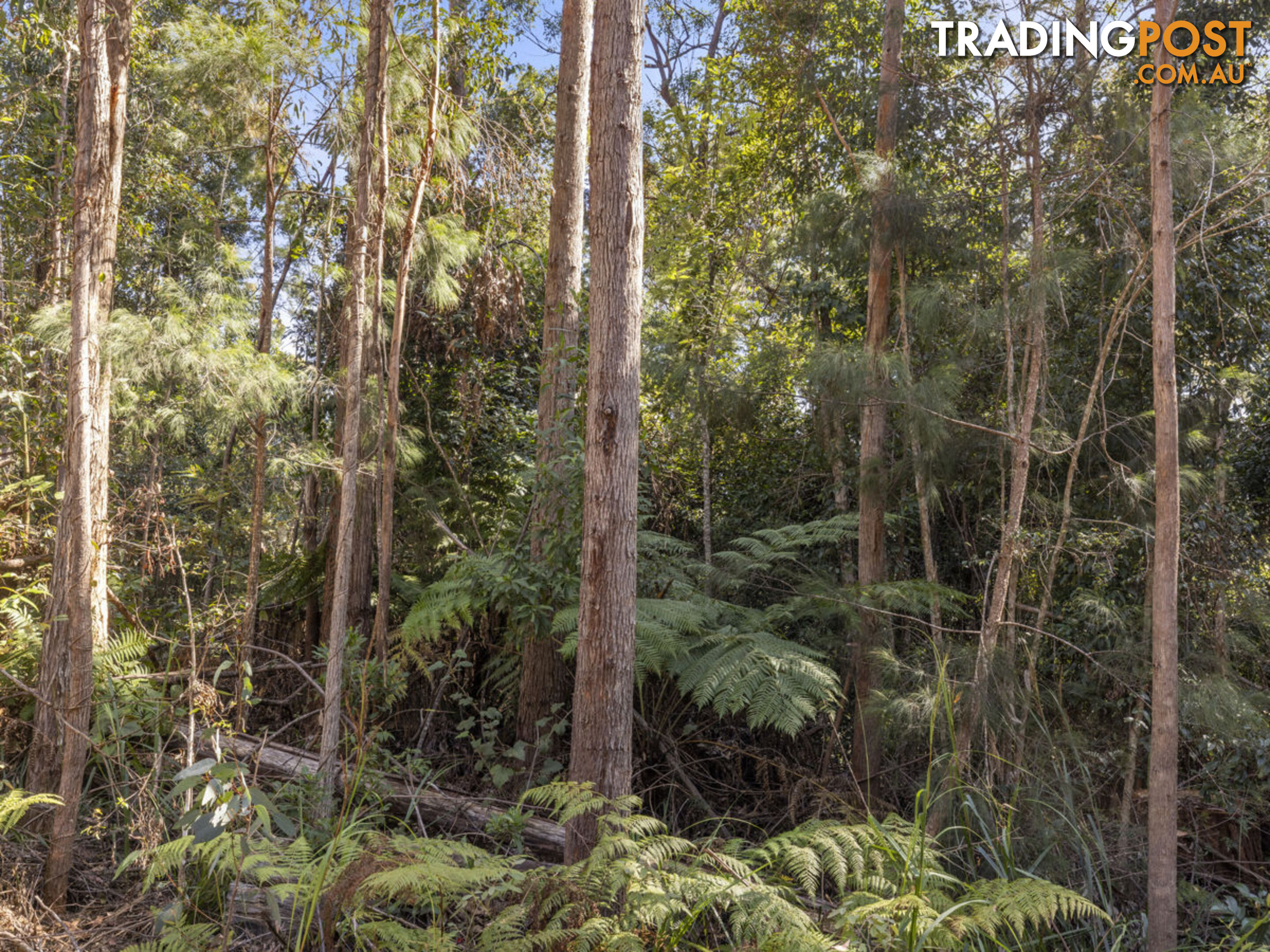 Lot 16 Lower Bobo Road ULONG NSW 2450