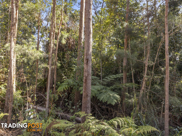 Lot 16 Lower Bobo Road ULONG NSW 2450