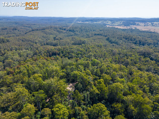 Lot 16 Lower Bobo Road ULONG NSW 2450