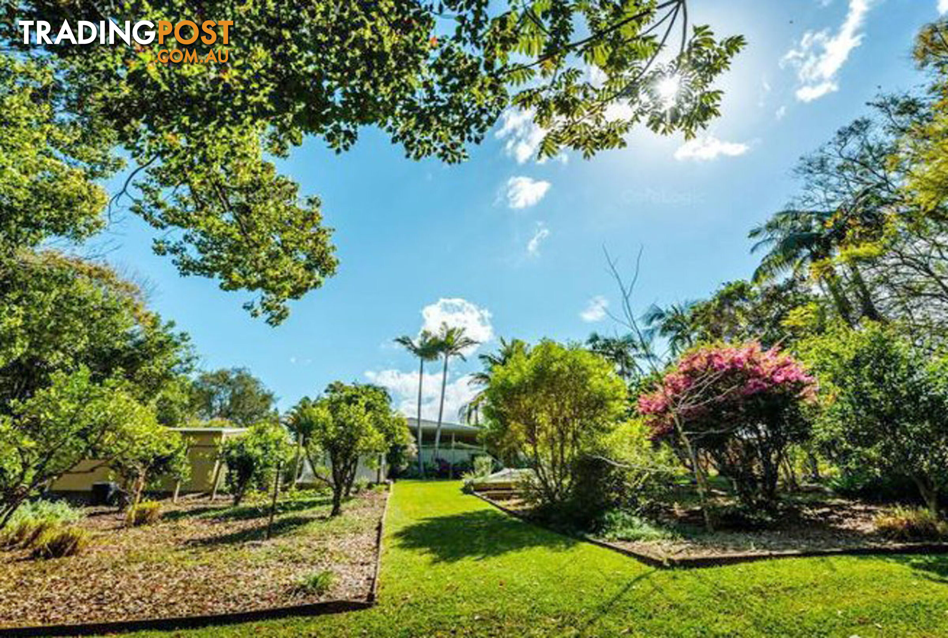 2 Tibouchina Close BELLINGEN NSW 2454