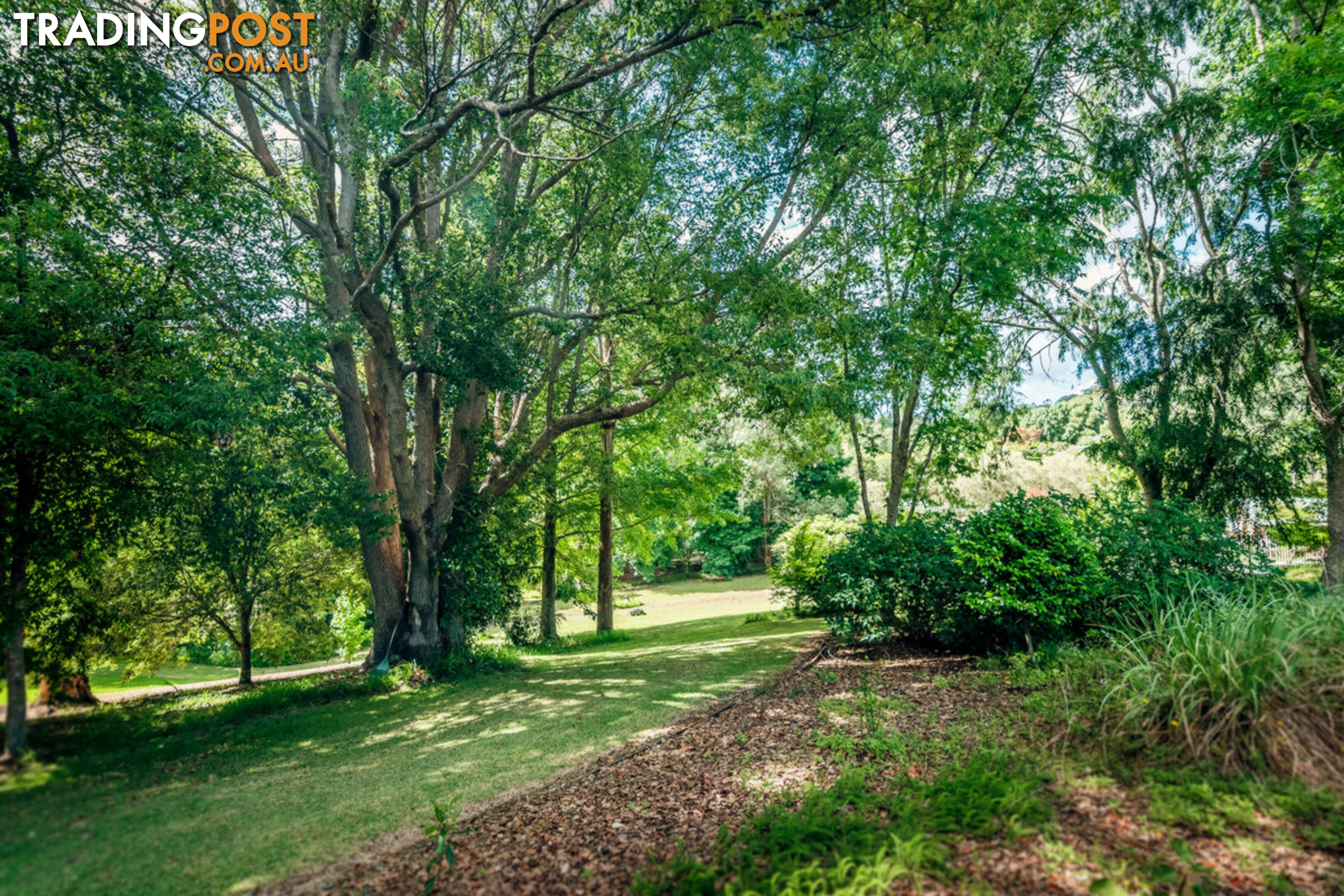 2 Tibouchina Close BELLINGEN NSW 2454