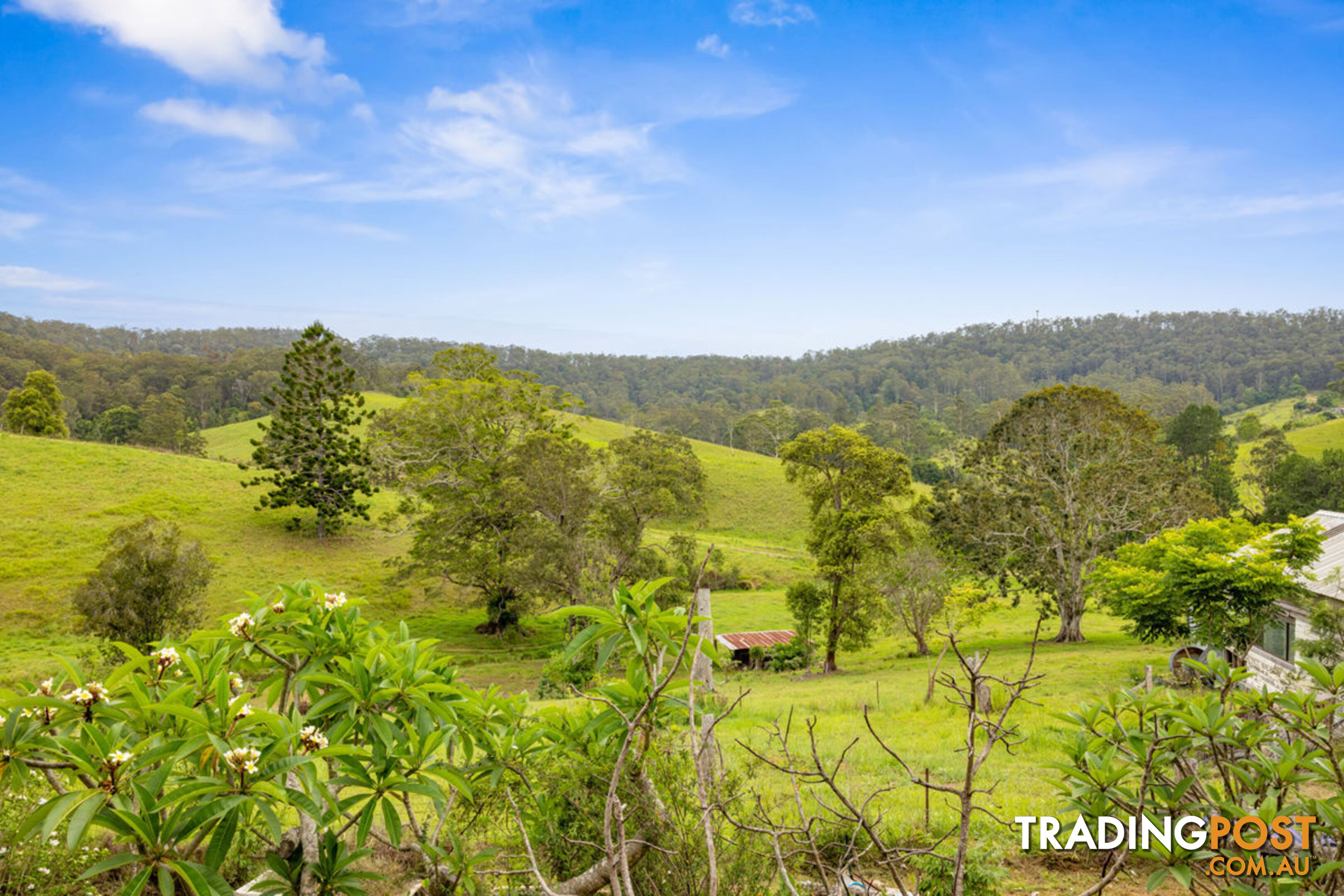 353 Rhones Creek Road TALARM NSW 2447