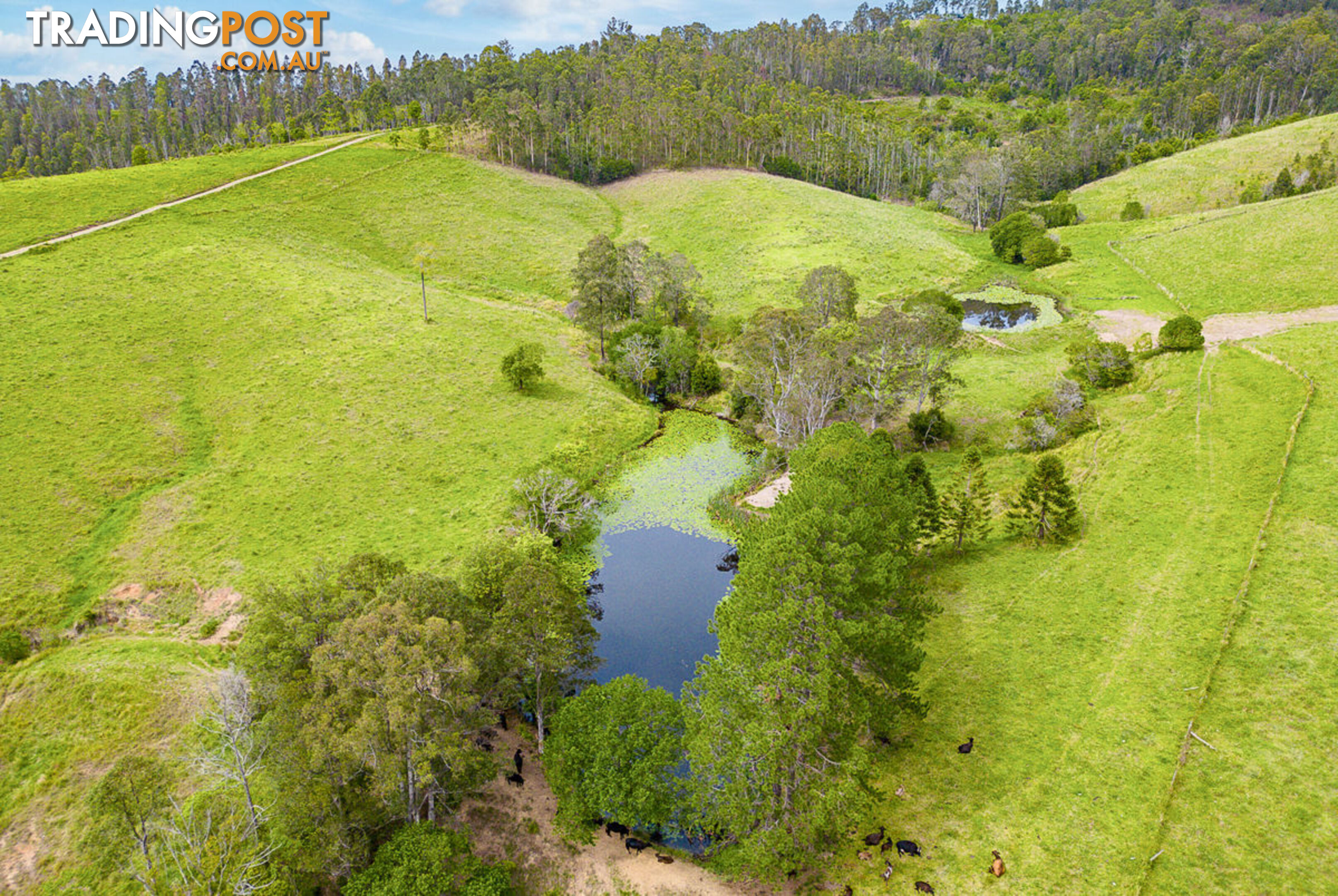 353 Rhones Creek Road TALARM NSW 2447