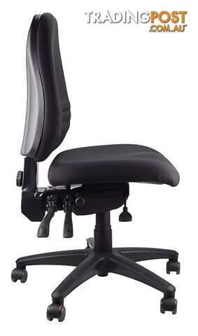 Fully Ergonomic Chair  AFRDI LOAD RATED TO 160kg SS