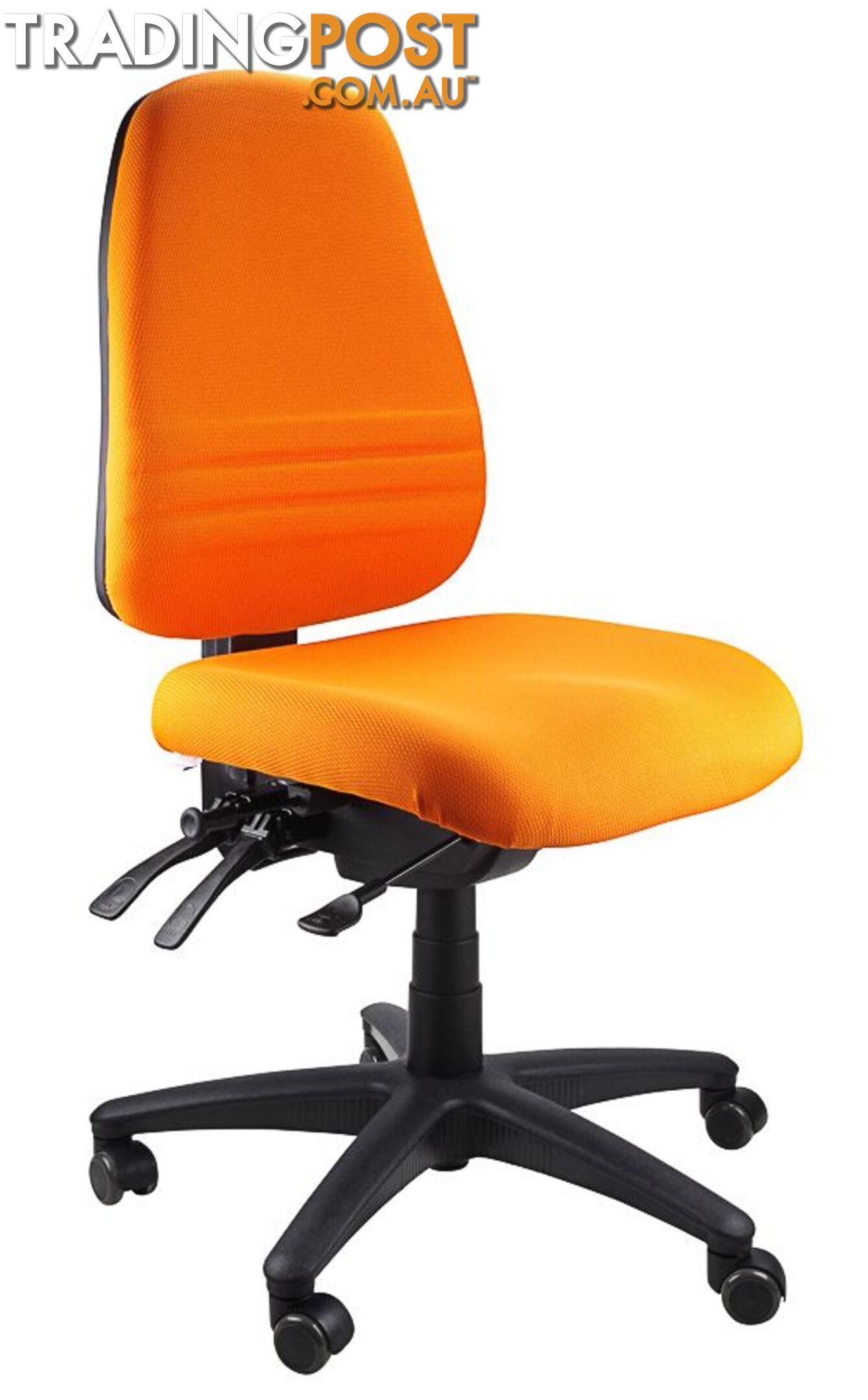 Fully Ergonomic Chair  AFRDI LOAD RATED TO 160kg SS