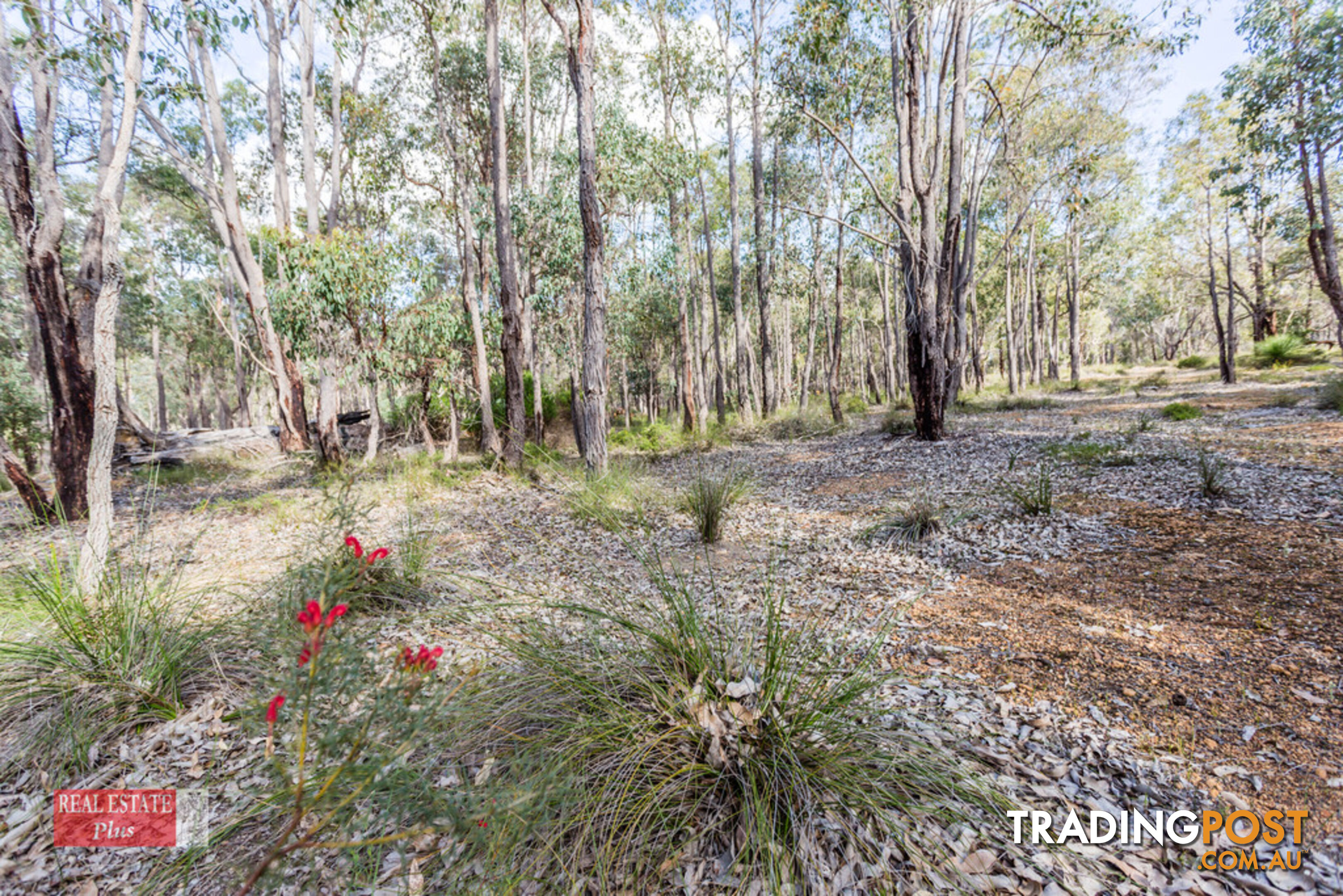 Lot. 511 Crest Side Close GIDGEGANNUP WA 6083