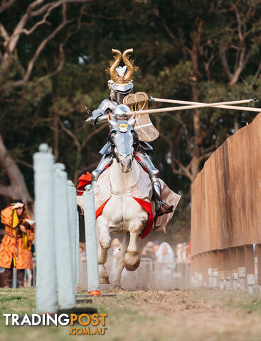 Jousting Sticks!