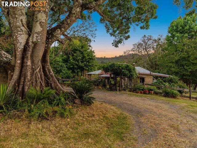 371 Quilty Road ROCK VALLEY NSW 2480