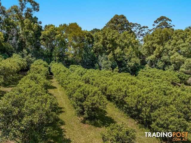 113 Dorroughby Road CORNDALE NSW 2480