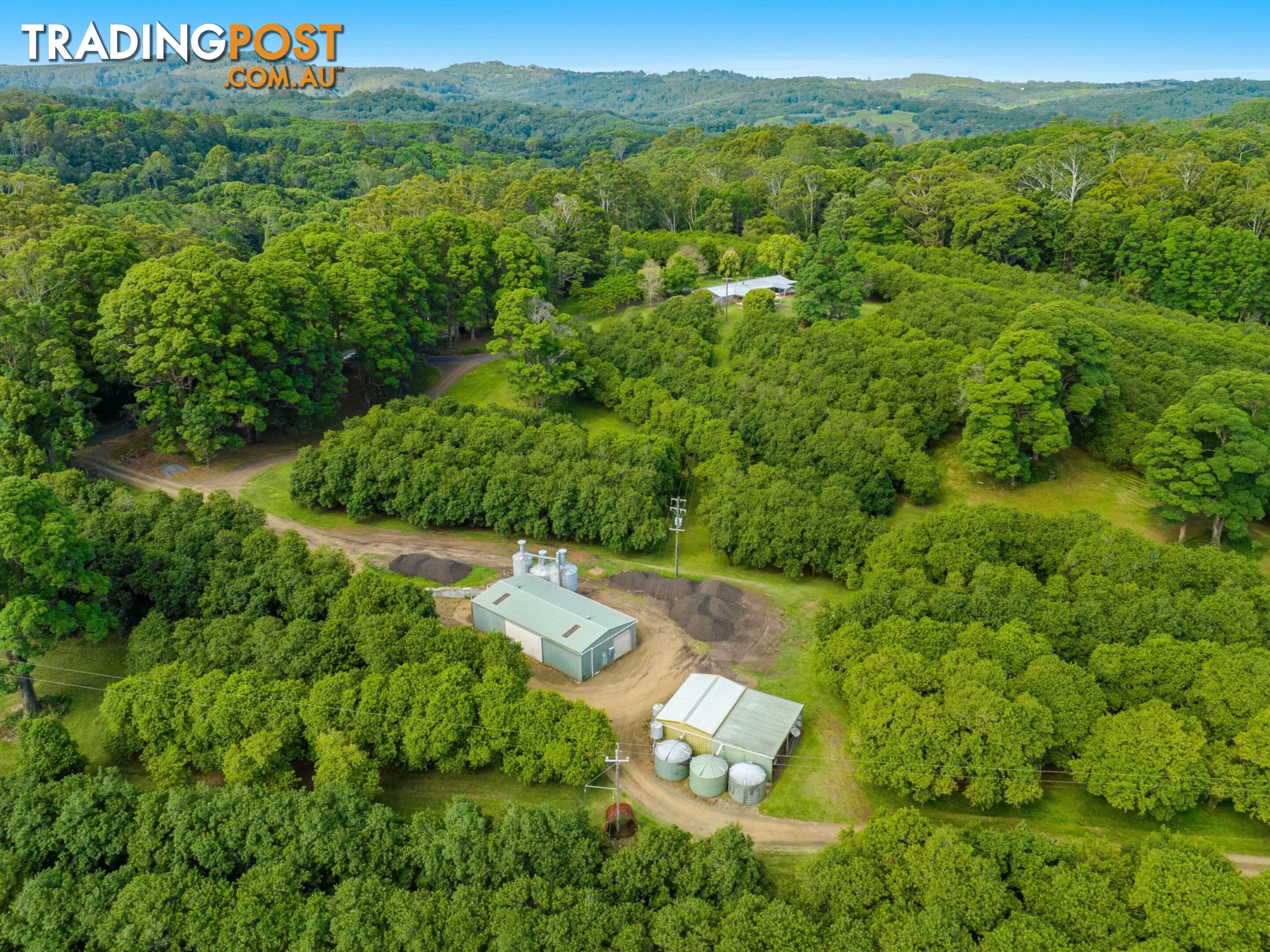 206 Repentance Creek Road ROSEBANK NSW 2480