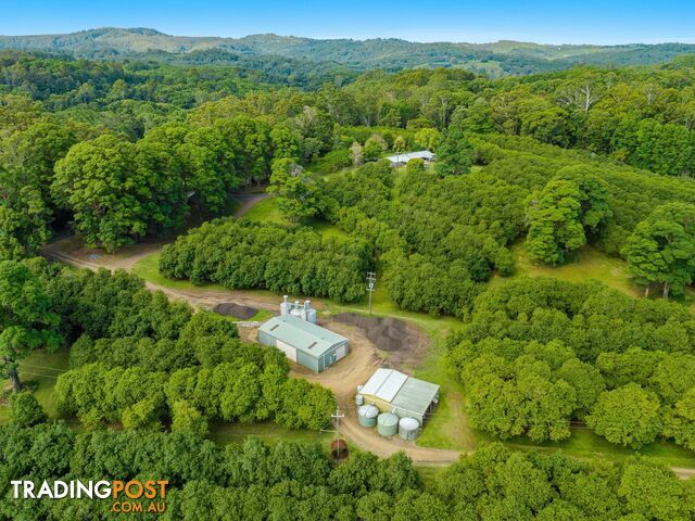 206 Repentance Creek Road ROSEBANK NSW 2480