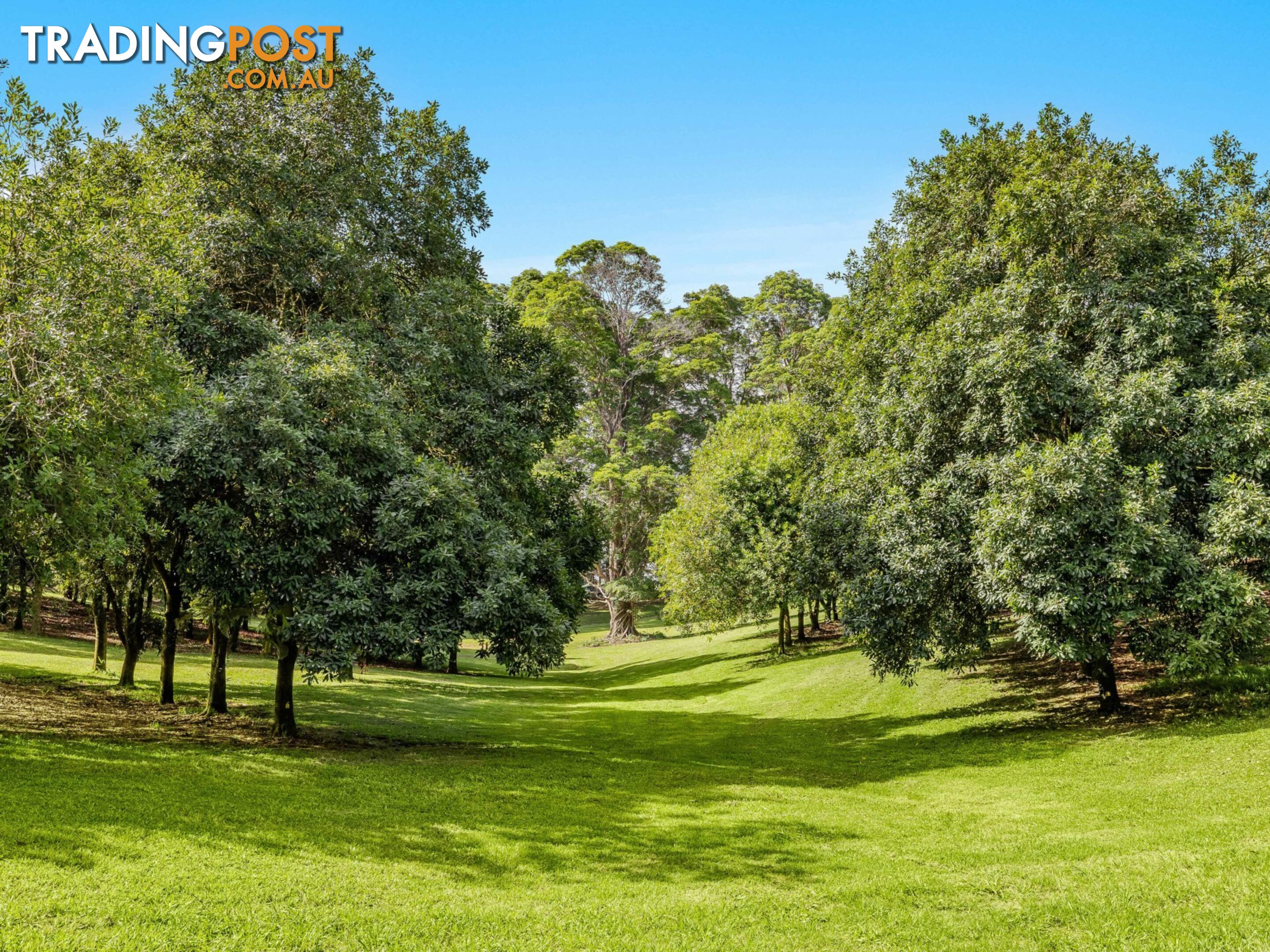 206 Repentance Creek Road ROSEBANK NSW 2480