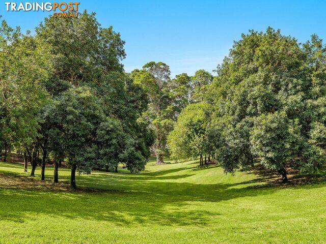 206 Repentance Creek Road ROSEBANK NSW 2480