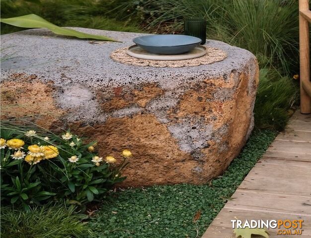 Dichondra Tiny Delight in trays - Free delivery Australia Wide