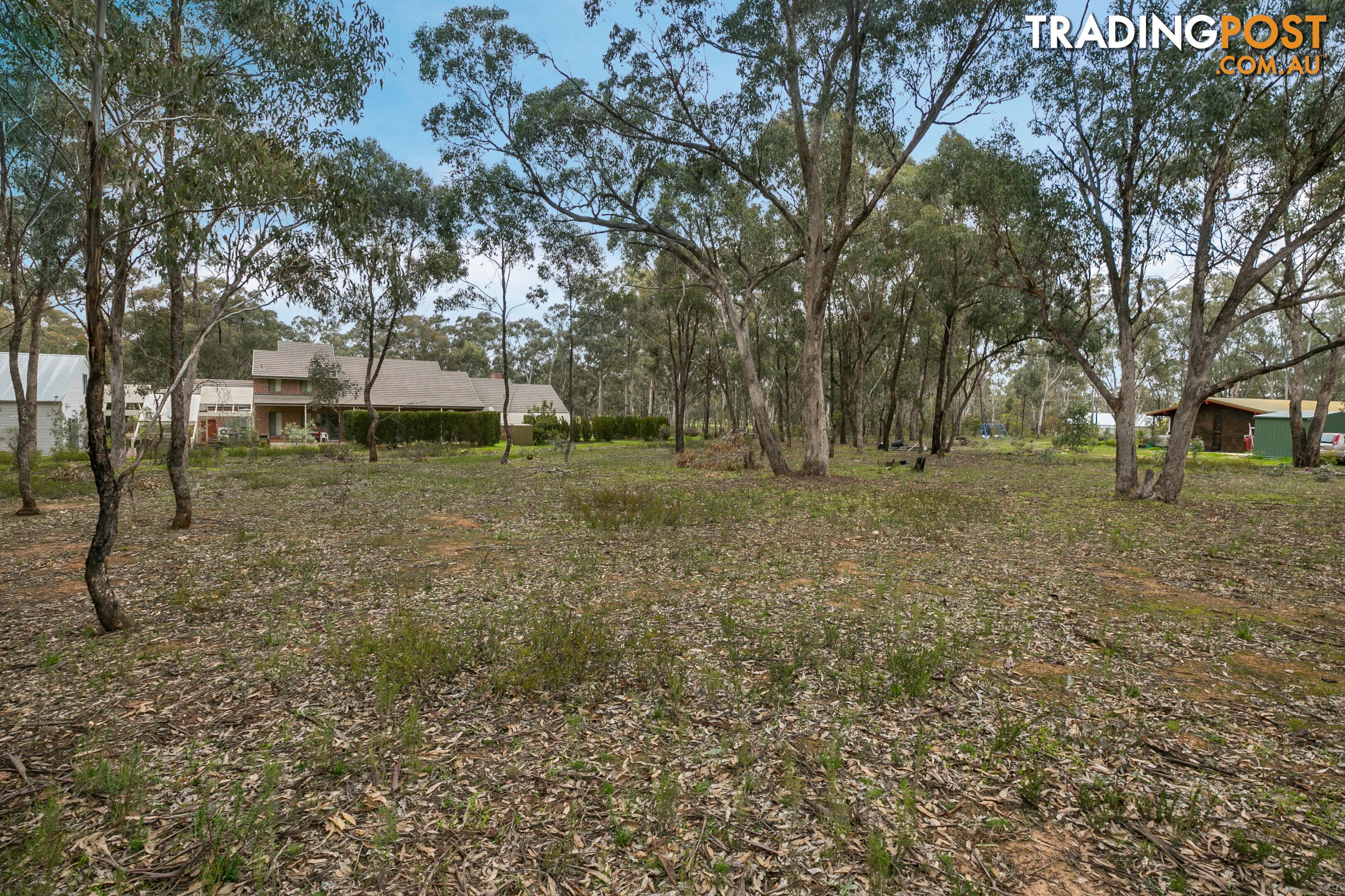 2a Ash Court Ascot Vic 3551