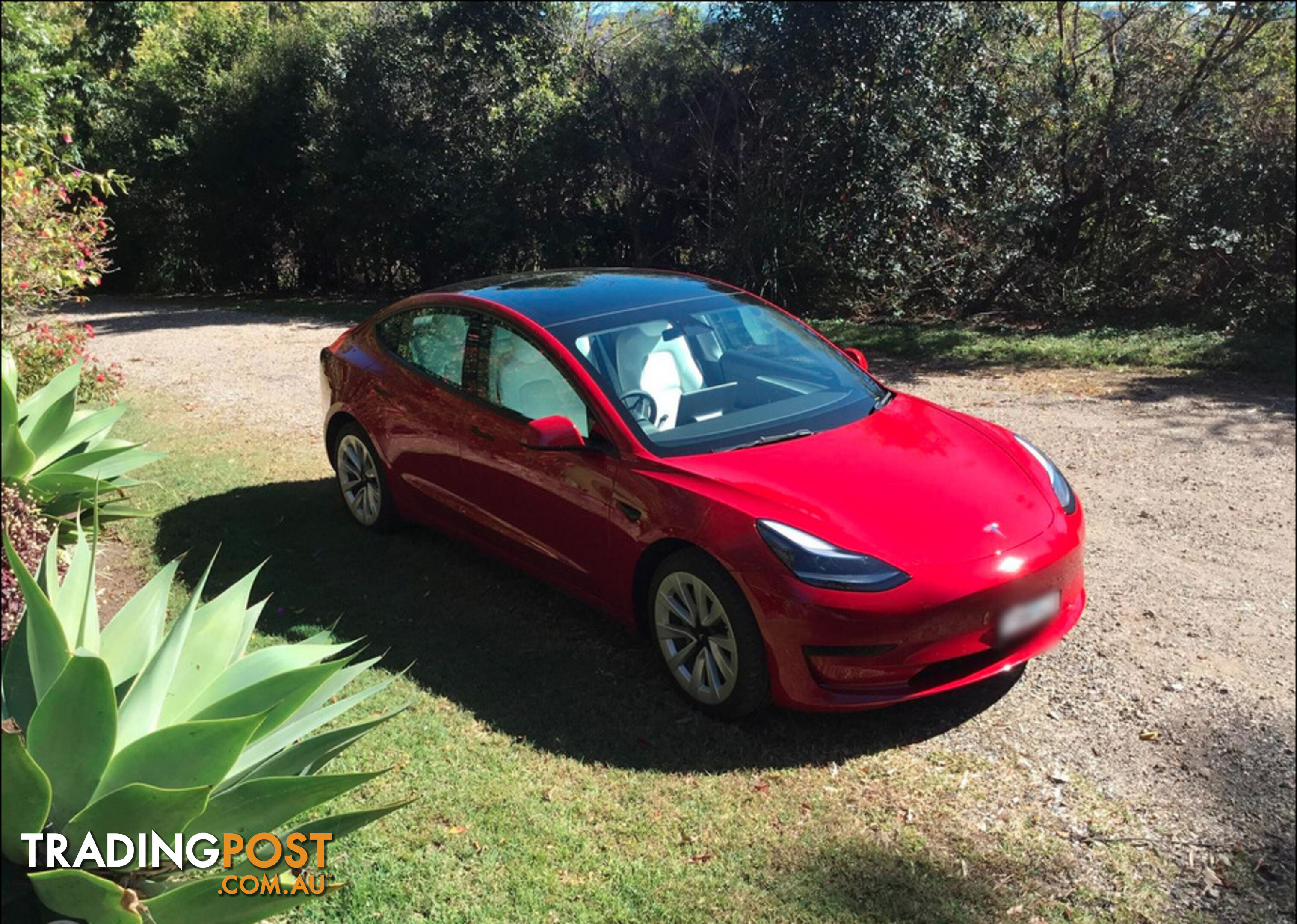 2023 Tesla Model 3 Rwd Sedan Automatic