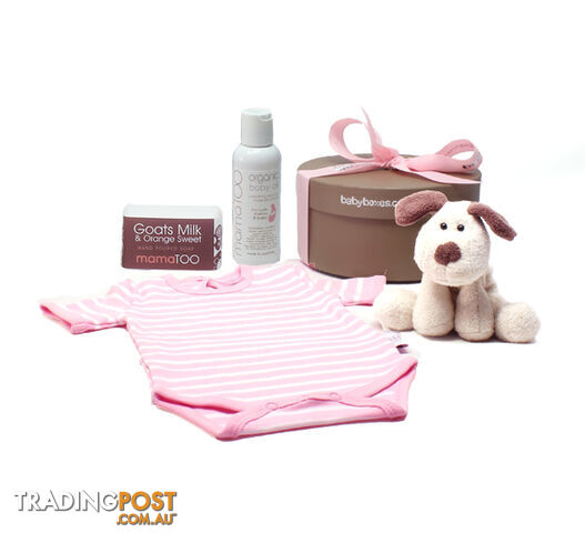 Pink Stripe Classic Babybox Gift