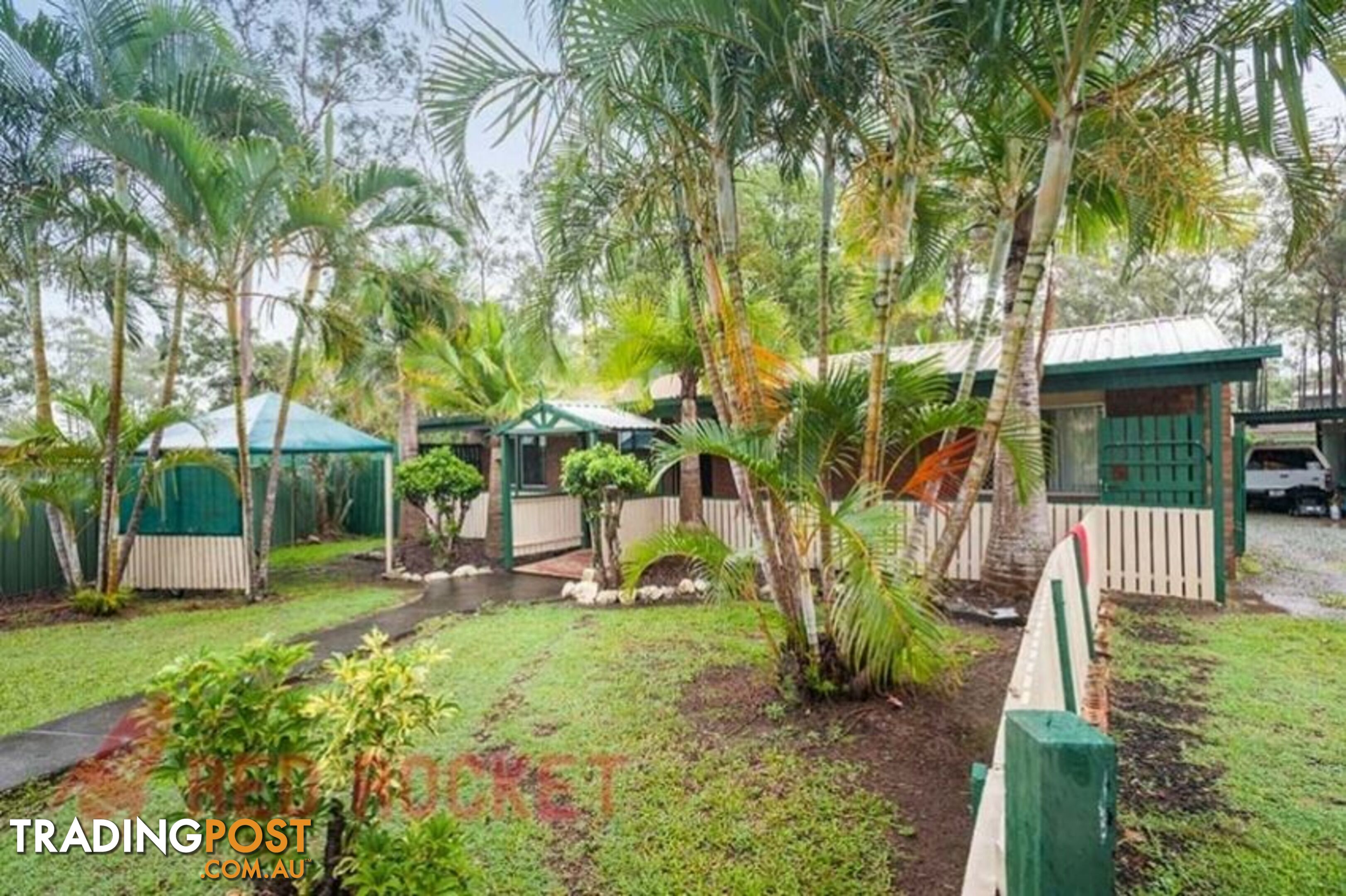 55 Anchusa Street KINGSTON QLD 4114