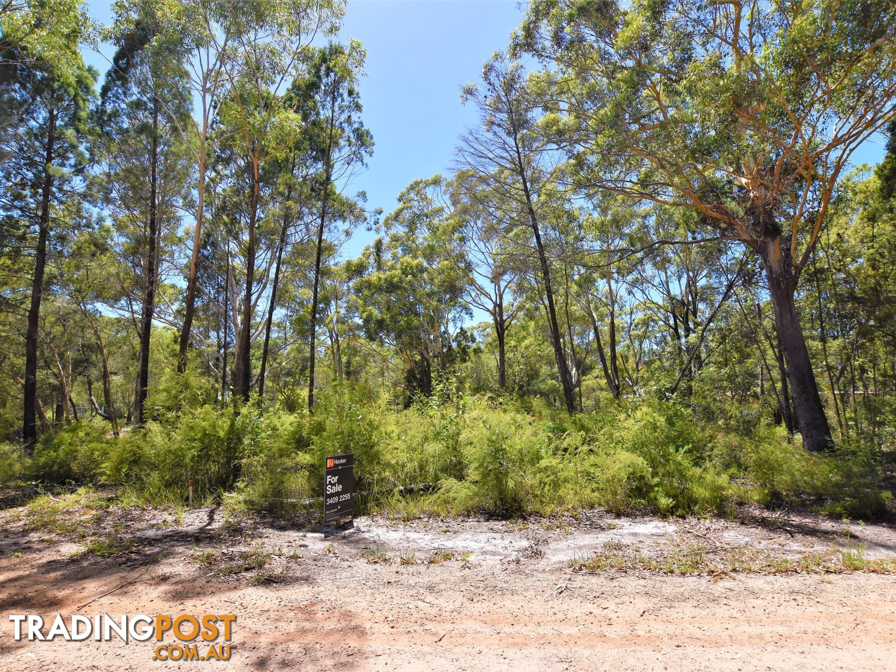 20 Summerland Dve RUSSELL ISLAND QLD 4184