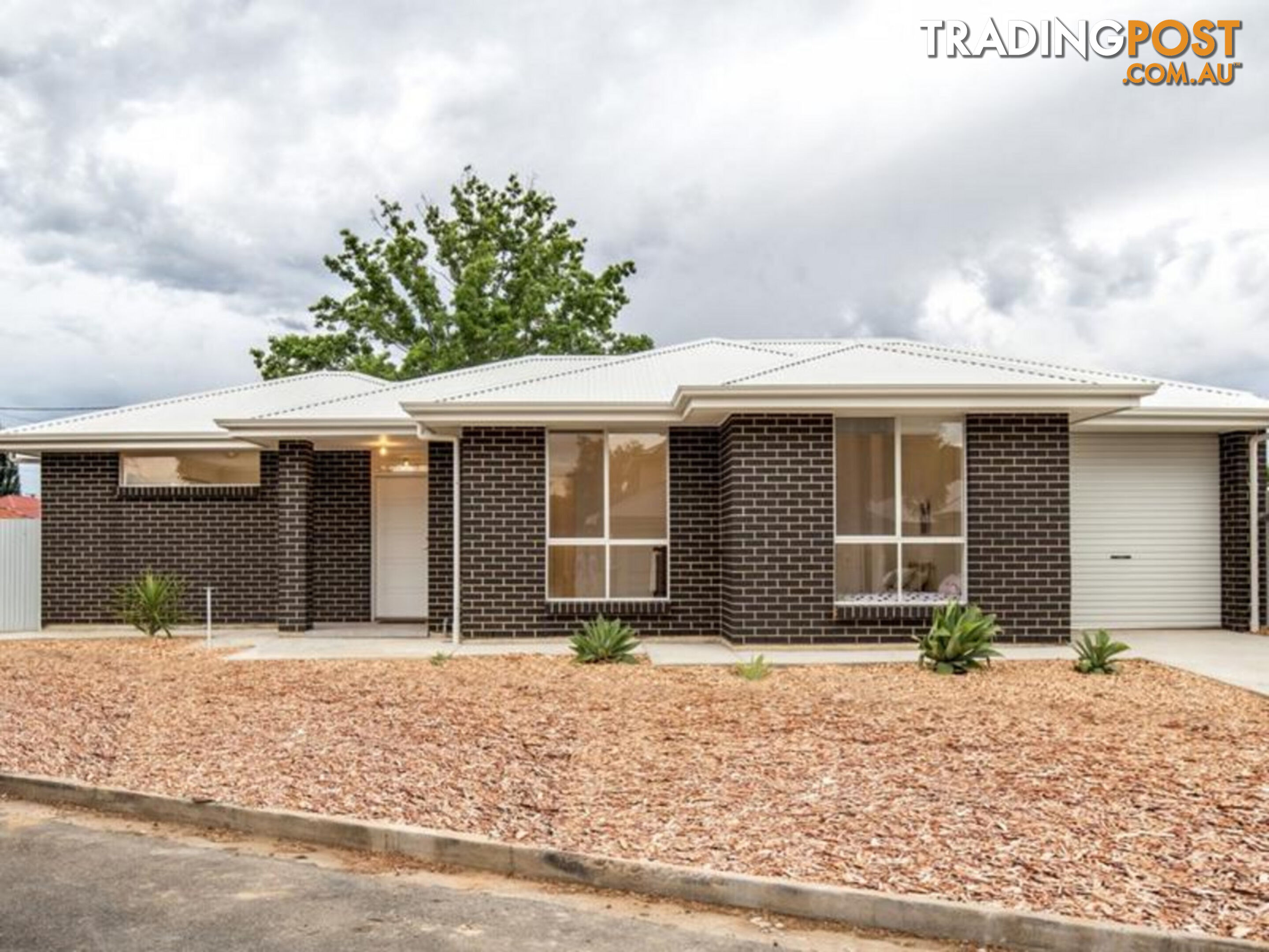 20 Itala Avenue CROYDON PARK SA 5008