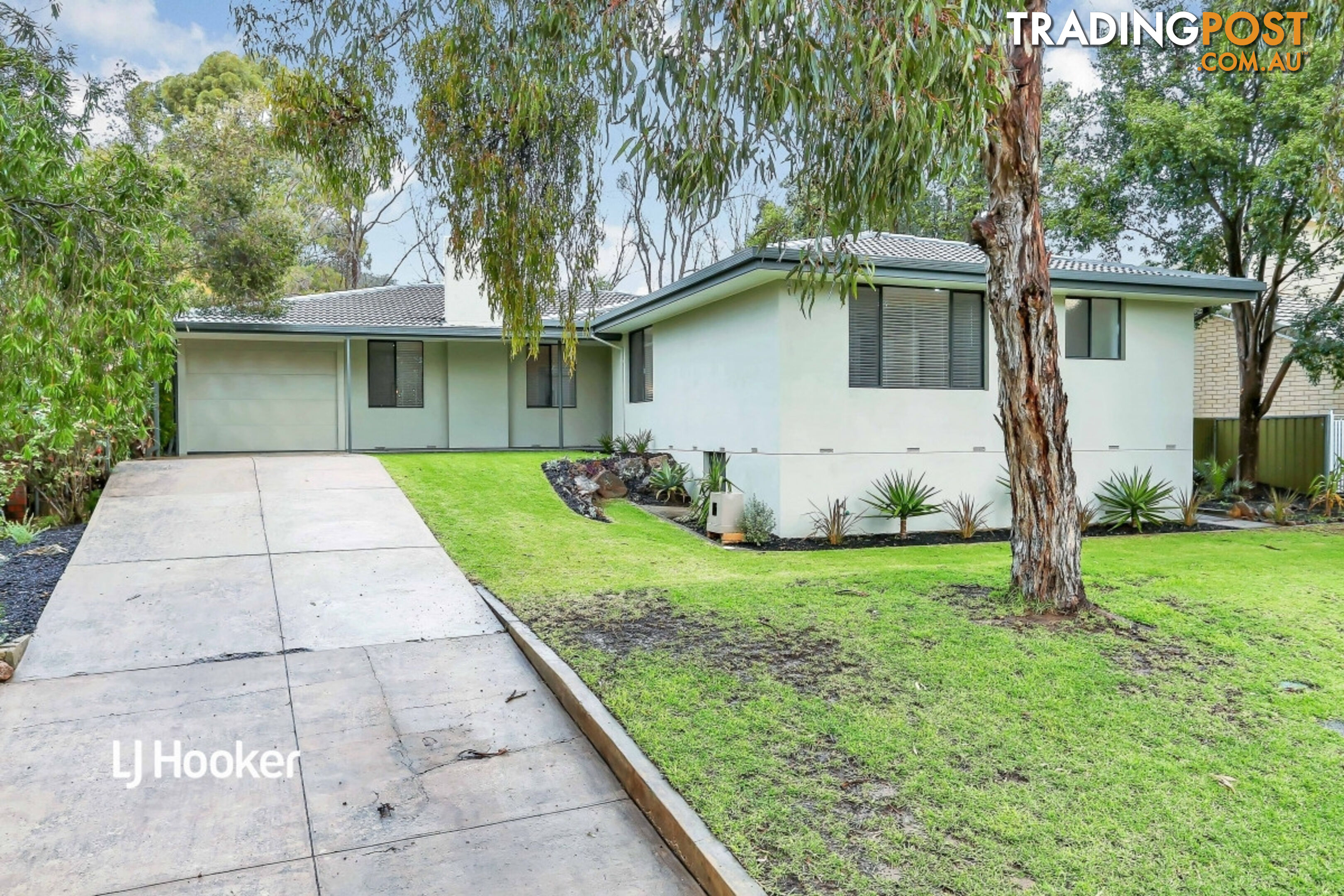 19 Mintanta Drive BANKSIA PARK SA 5091