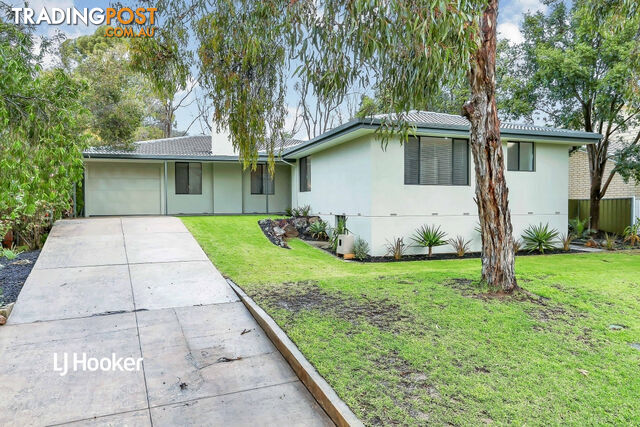 19 Mintanta Drive BANKSIA PARK SA 5091