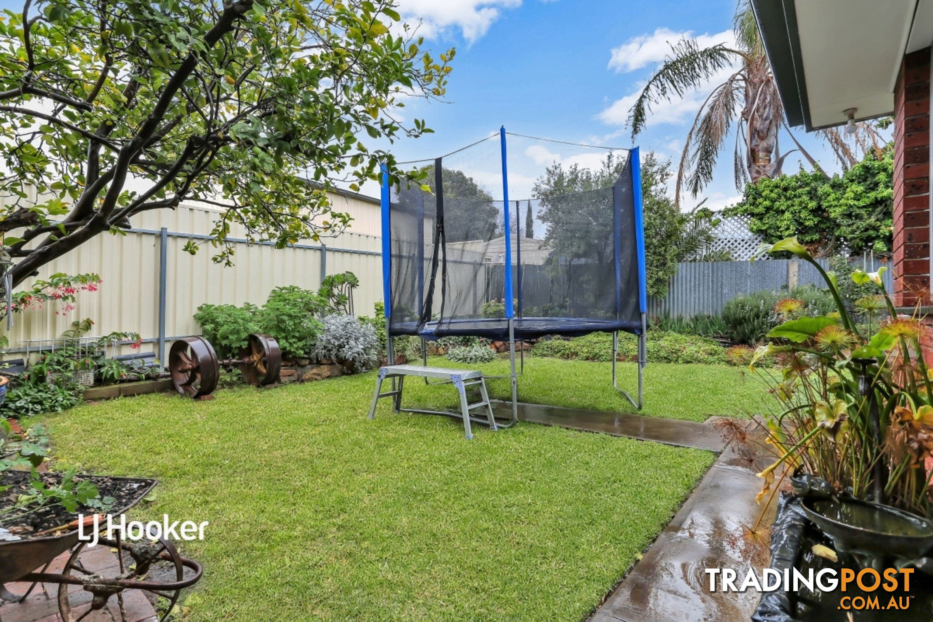 17 Apex Avenue MODBURY NORTH SA 5092