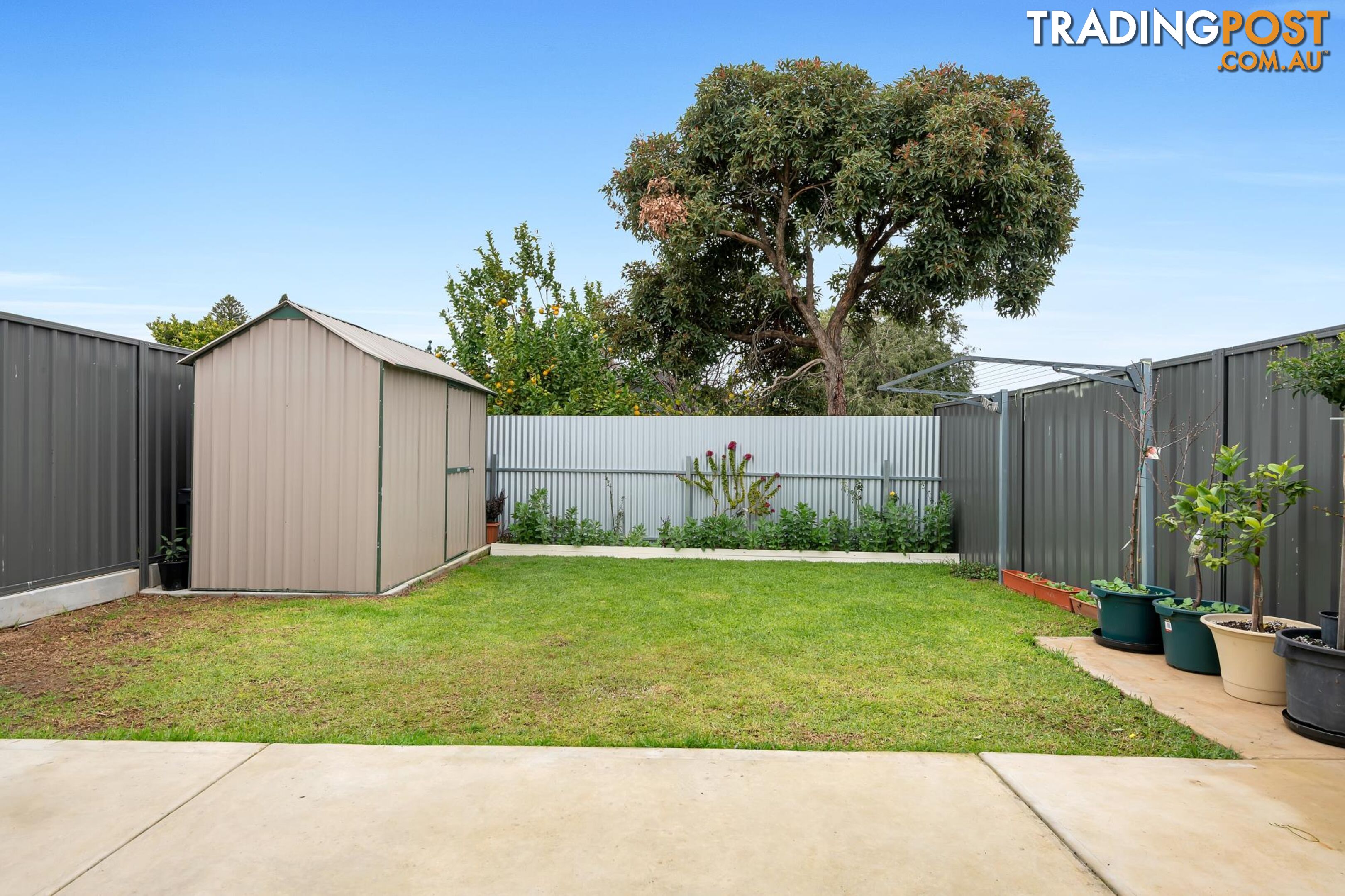 31 McCusker Avenue ENFIELD SA 5085