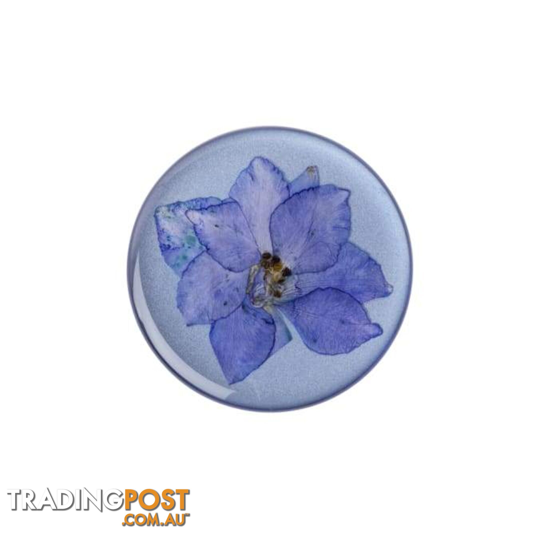 PopGrip Premium (Gen2) Pressed Flower Larkspur Purple - PopSockets - 842978144900