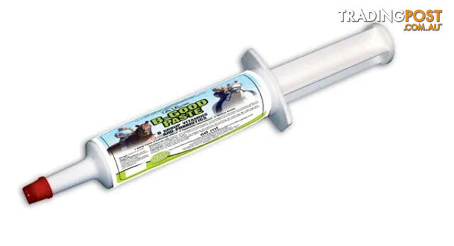 EQUINE VIT & MIN- B GOOD PASTE 60G