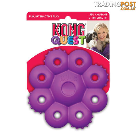 KONG QUEST STAR POD- LARGE