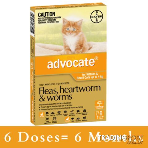 ADVOCATE FOR KITTENS AND SMALL CATS UP TO 4KG (ORA - photo 3 of 6