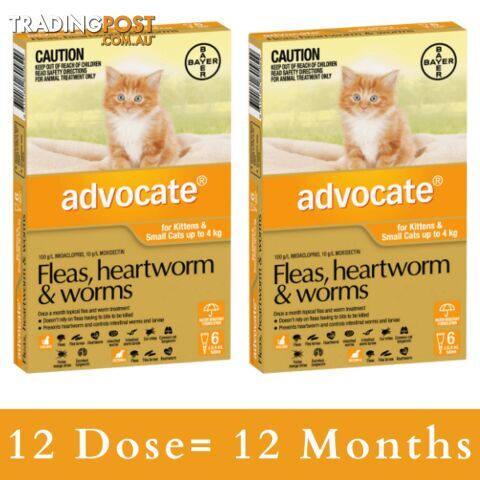 ADVOCATE FOR KITTENS AND SMALL CATS UP TO 4KG (ORA - photo 4 of 6