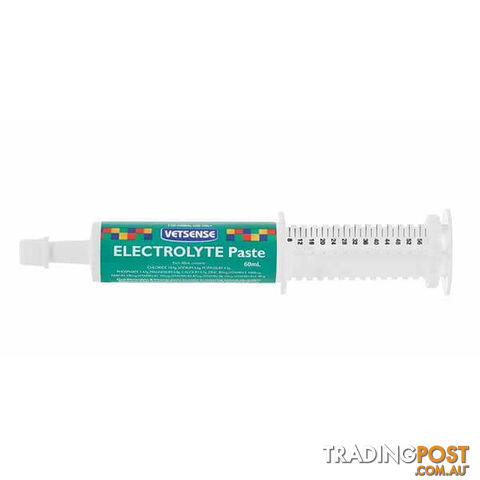 VETSENSE- LABS ELECTROLYTE PASTE 60ML