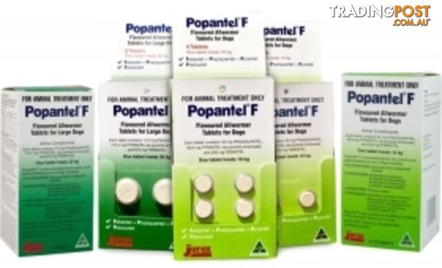 POPANTEL F - FLAVOURED ALLWORMER TABLETS FOR DOGS