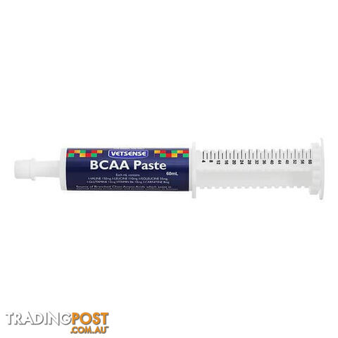 VETSENSE- LABS BCAA PASTE 60ML