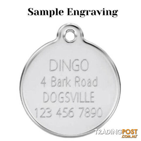 RED DINGO FIRE HYDRANT LIGHT BLUE TAG - LIFETIME G - photo 3 of 4