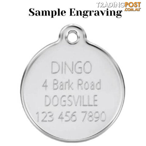 RED DINGO BONE IN BOWL TAG BLACK - LIFETIME GUARAN - photo 3 of 4