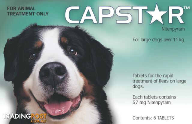 CAPSTAR TABLETS FOR LARGE DOGS 11.1-57KG - 6 TABLE