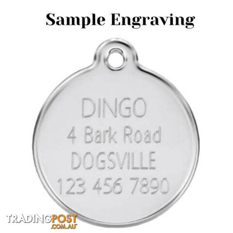RED DINGO BONE IN BOWL TAG ORANGE - LIFETIME GUARA - photo 3 of 4