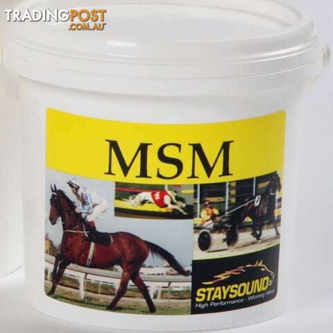 STAYSOUND MSM - photo 1 of 2
