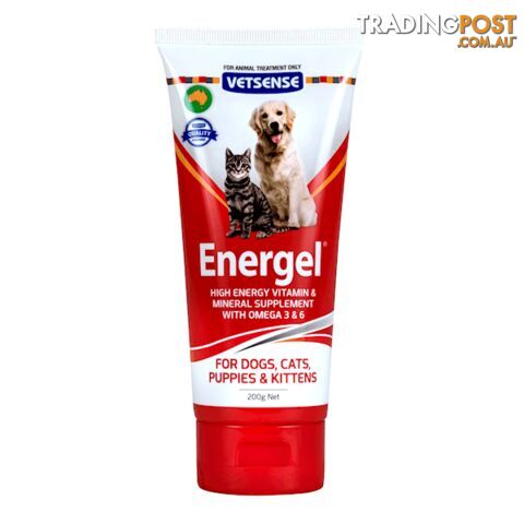 VETSENSE- LABS ENERGEL 200G